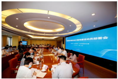 河南網信網在經貿咨詢領域的角色與價值