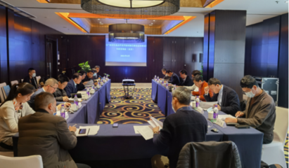 集聚智慧 共繪藍圖——黃文川主持北京專家咨詢會為百色重點開發(fā)開放試驗區(qū)建設(shè)把脈